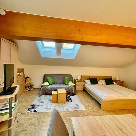 Apartment Ladinger Radstadt Esterno foto